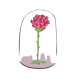 rosepetitprince.png